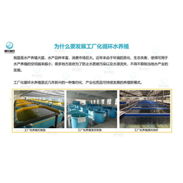 智慧農(nóng)研 高效環(huán)保養(yǎng)魚新標桿，引領現(xiàn)代漁業(yè)綠色轉(zhuǎn)型